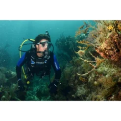 Cressi Travelight BCD -Water Sports Equipment GUEST 0d9fd7a0 12c7 48ef bf83 ccf2180d40c7