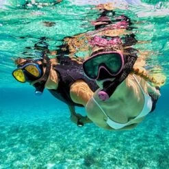 Tusa Sport Adult Dry Snorkel -Water Sports Equipment GUEST 2b614109 fb20 40e0 b8b3 ce1312c8d0c3