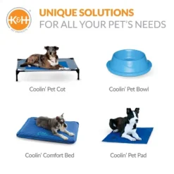 Pet Pool -Water Sports Equipment GUEST 35363c66 4838 45e0 bbea f06e900913ae